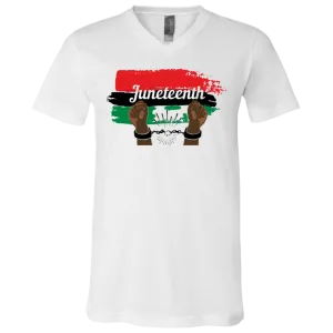 3005 Unisex Jersey SS V-Neck T-Shirt