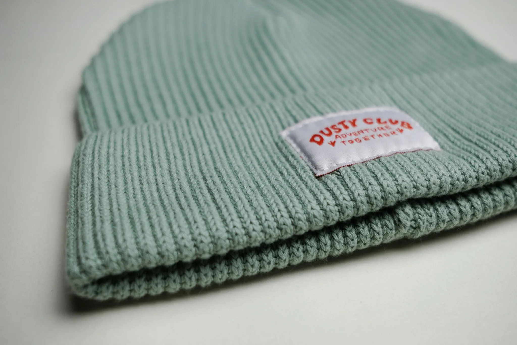Adventure Together Beanie - Lichen