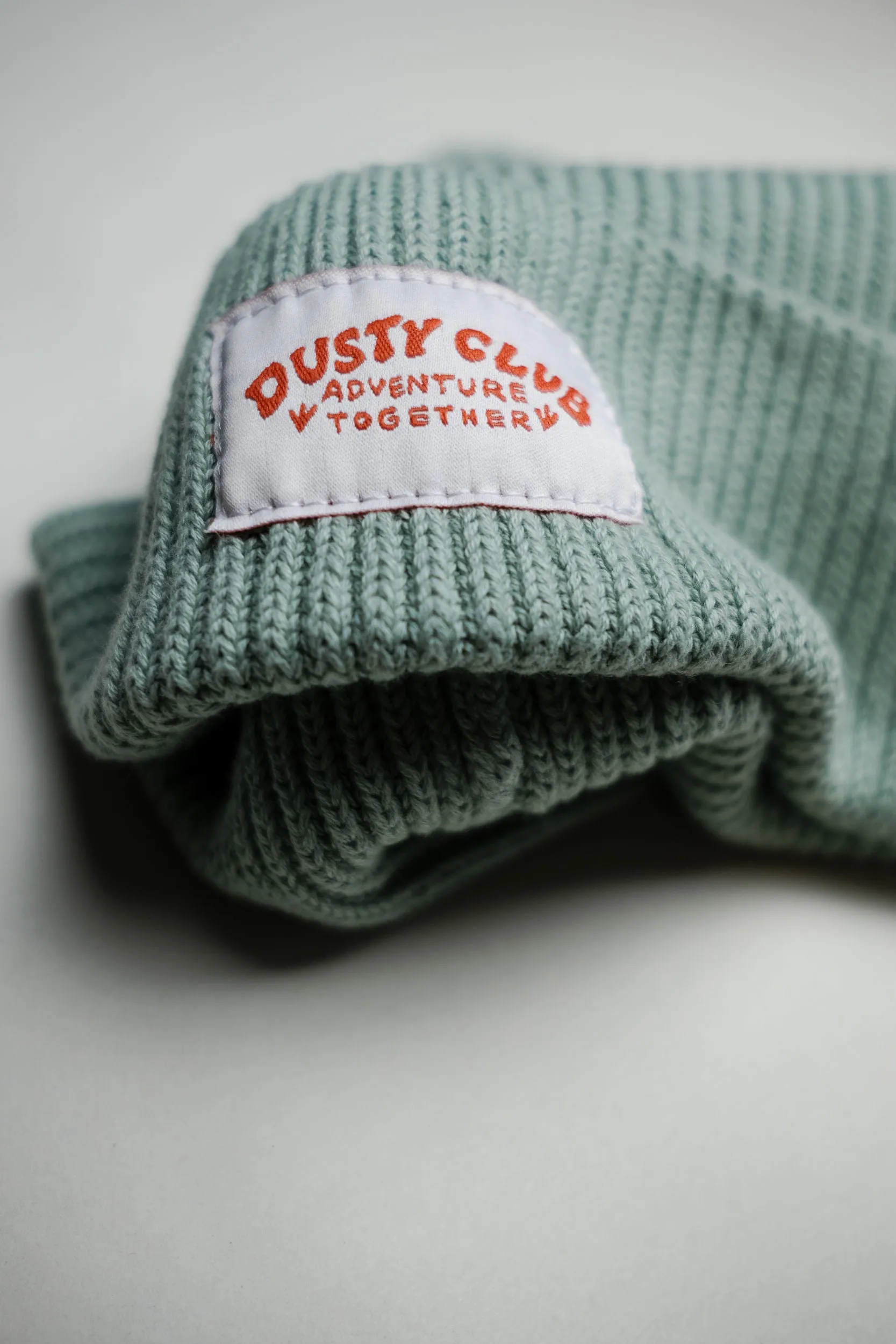 Adventure Together Beanie - Lichen