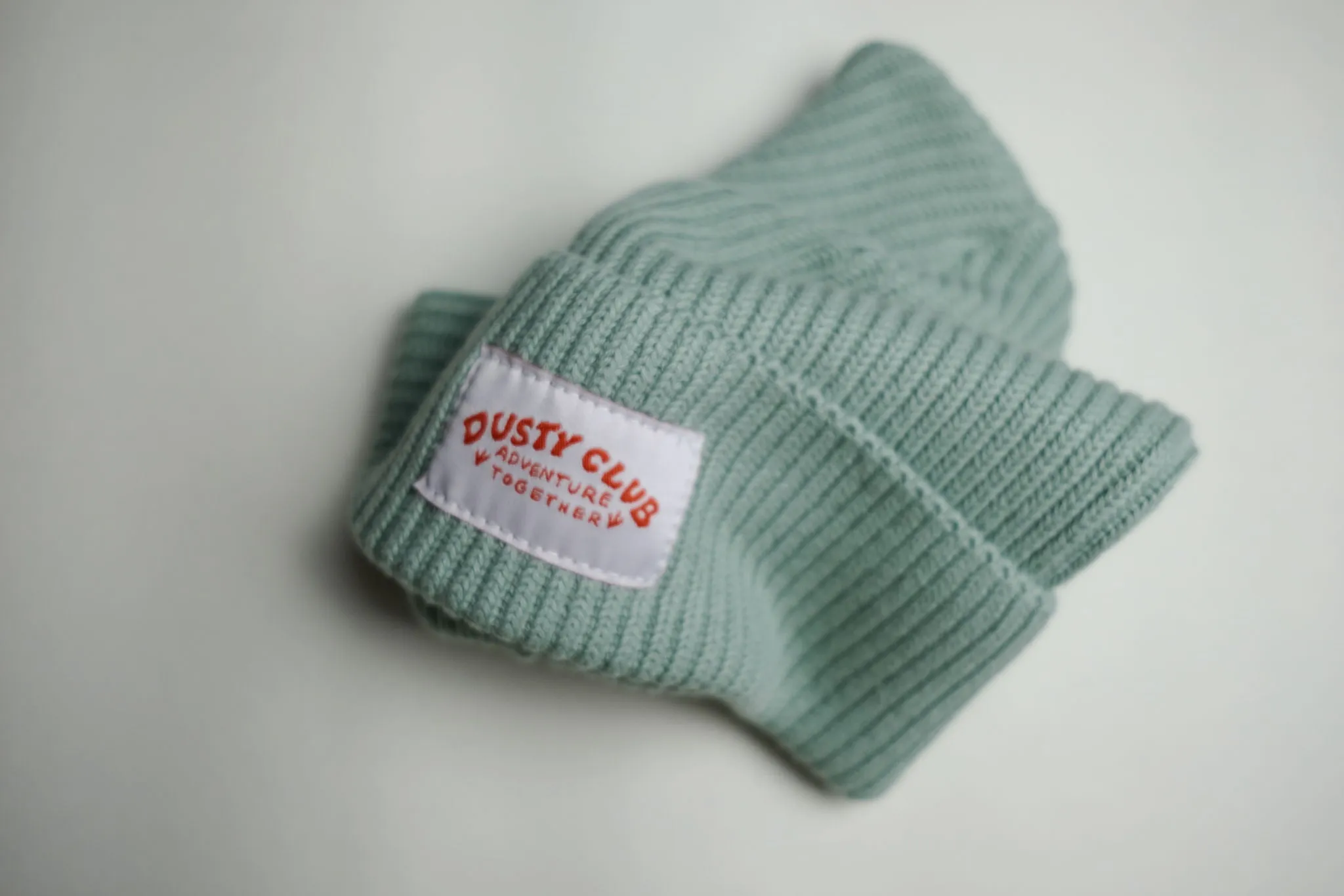 Adventure Together Beanie - Lichen