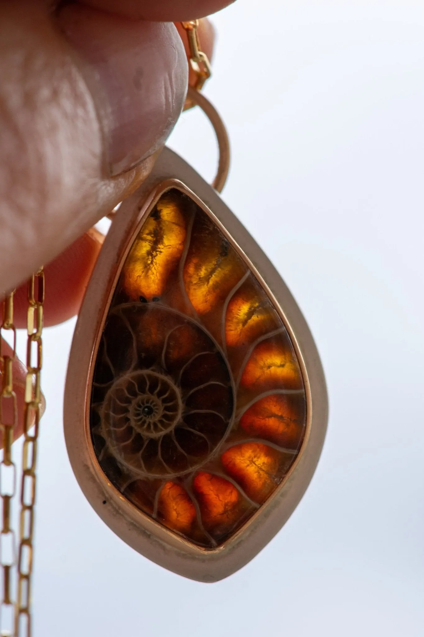 ANCIENT SHORES AMMONITE NECKLACES