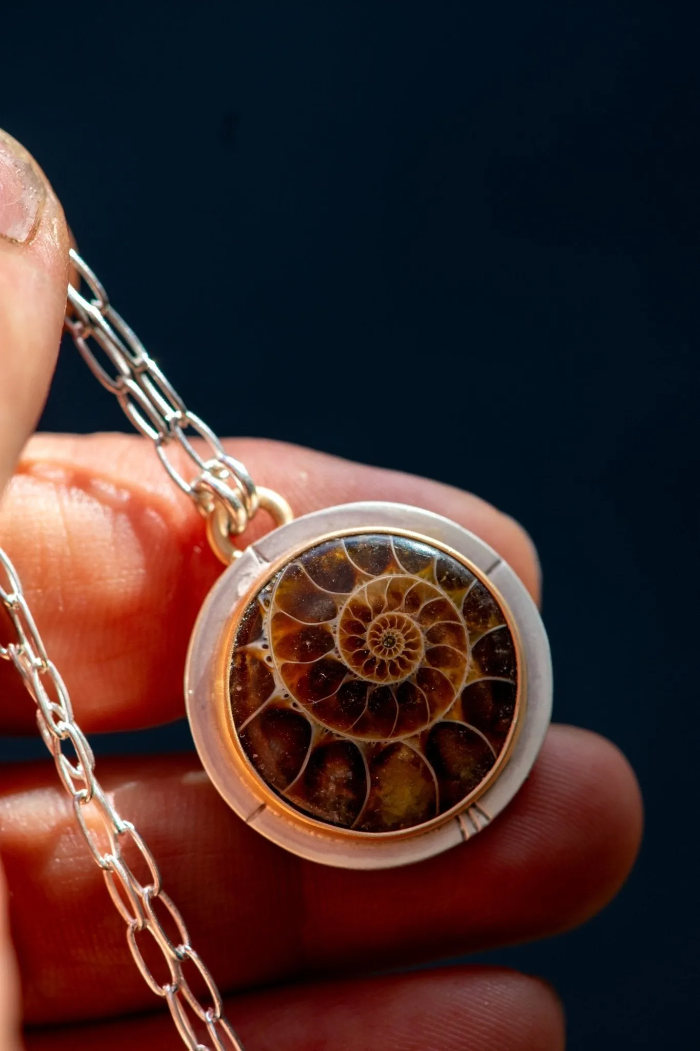 ANCIENT SHORES AMMONITE NECKLACES