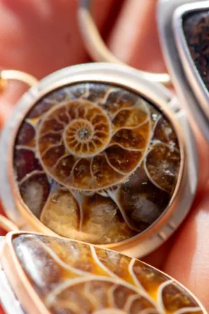 ANCIENT SHORES AMMONITE NECKLACES