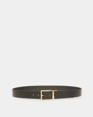 Astory 35 - Belts