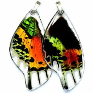 Butterfly wing pendant ONLY, Sunset butterfly, bottom wing