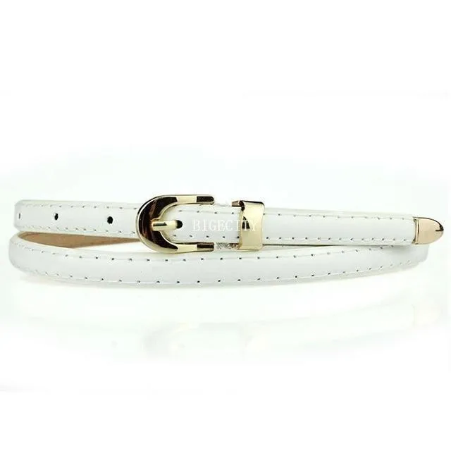 Candy Colored Skinny Waist Belt