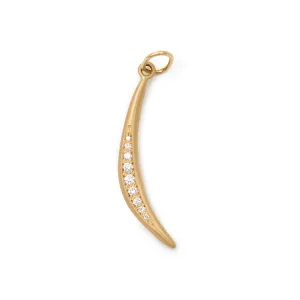 Crescent Diamond Flow Charm