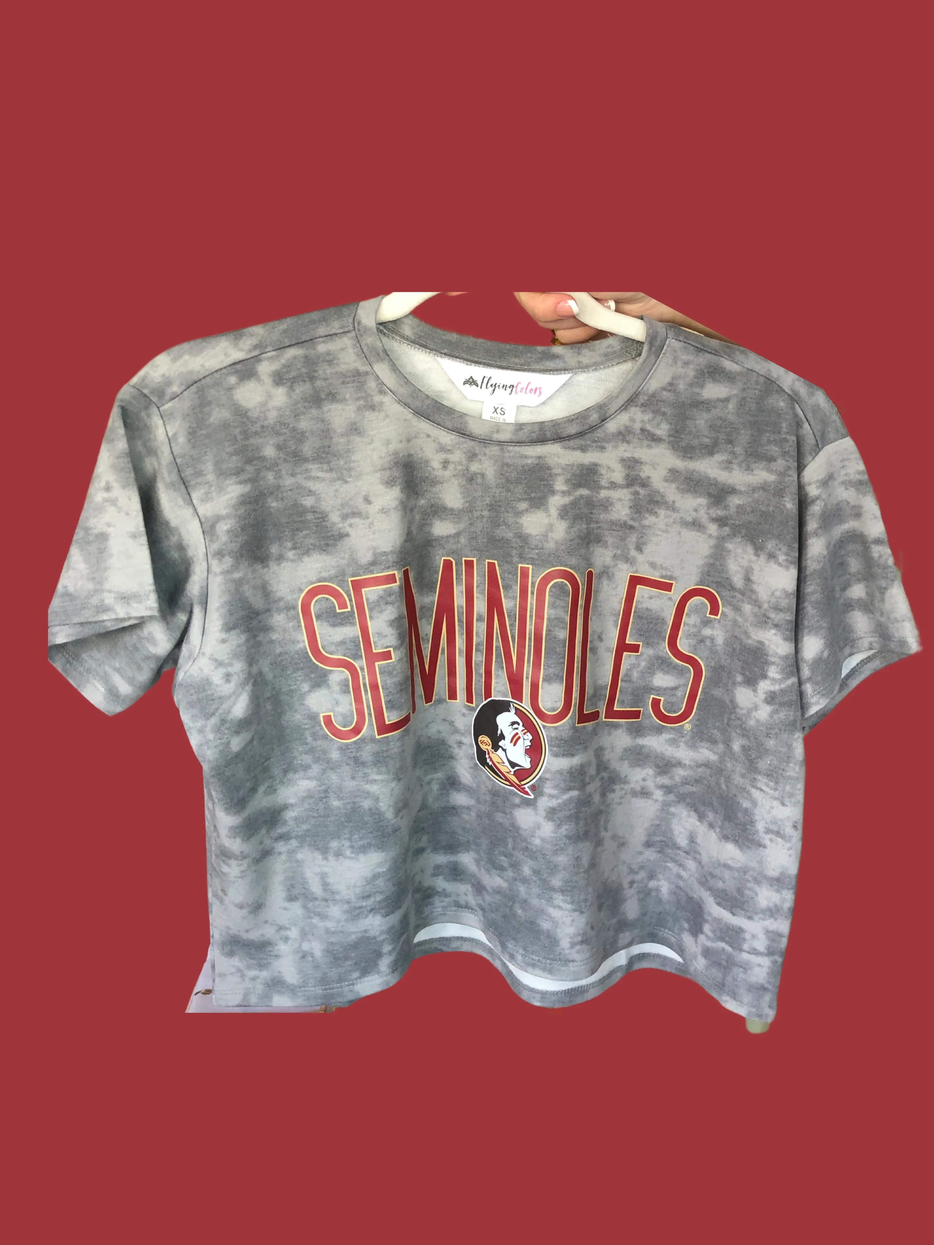 Florida State Seminoles Kimberly Crop Tee- FINAL SALE