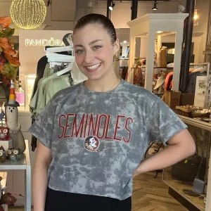 Florida State Seminoles Kimberly Crop Tee- FINAL SALE