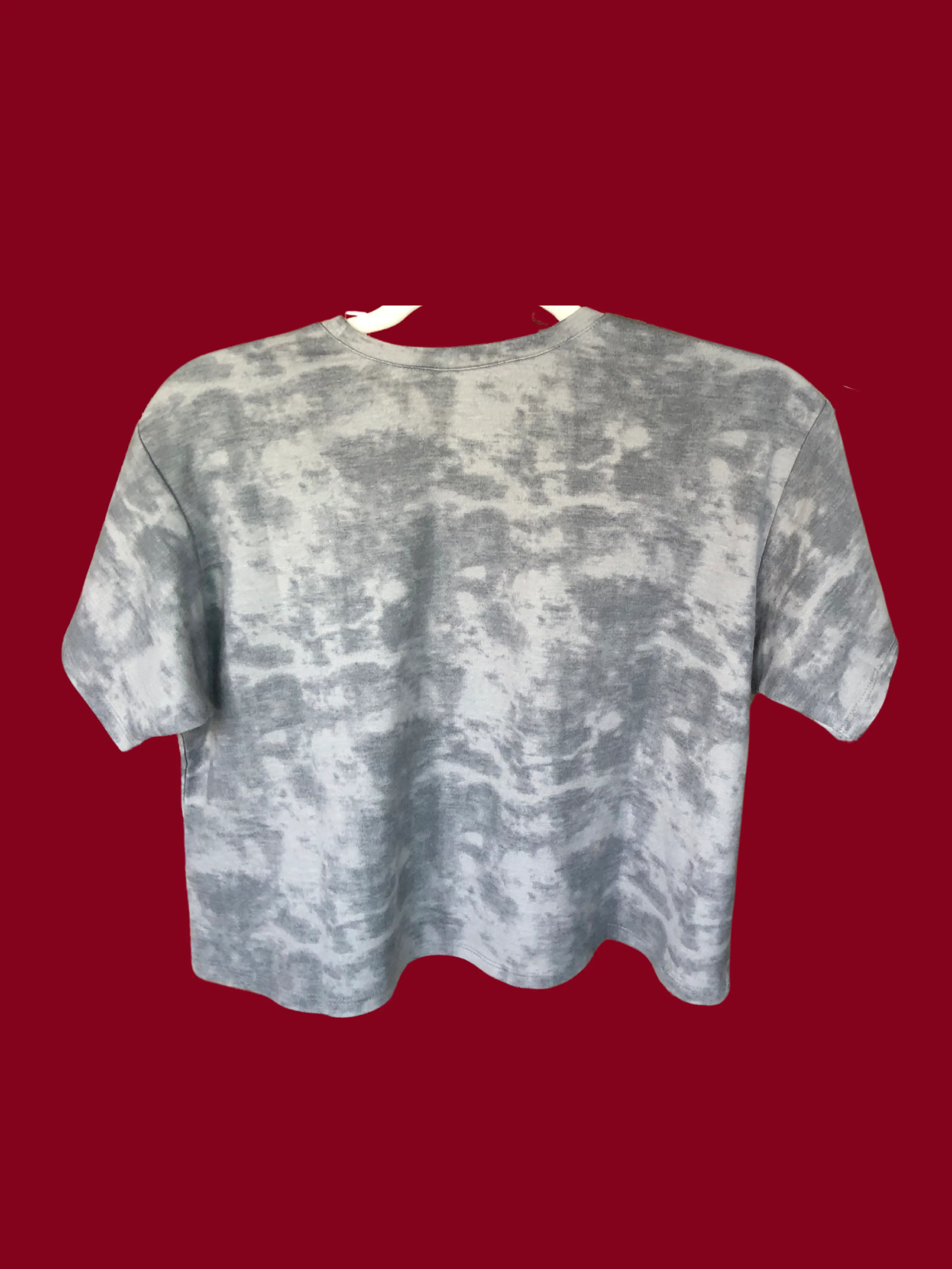 Florida State Seminoles Kimberly Crop Tee- FINAL SALE