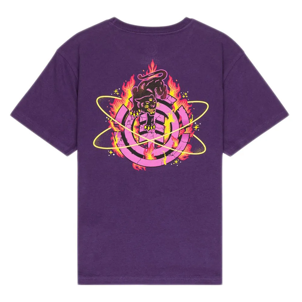 GALACTICA SS GRAPE