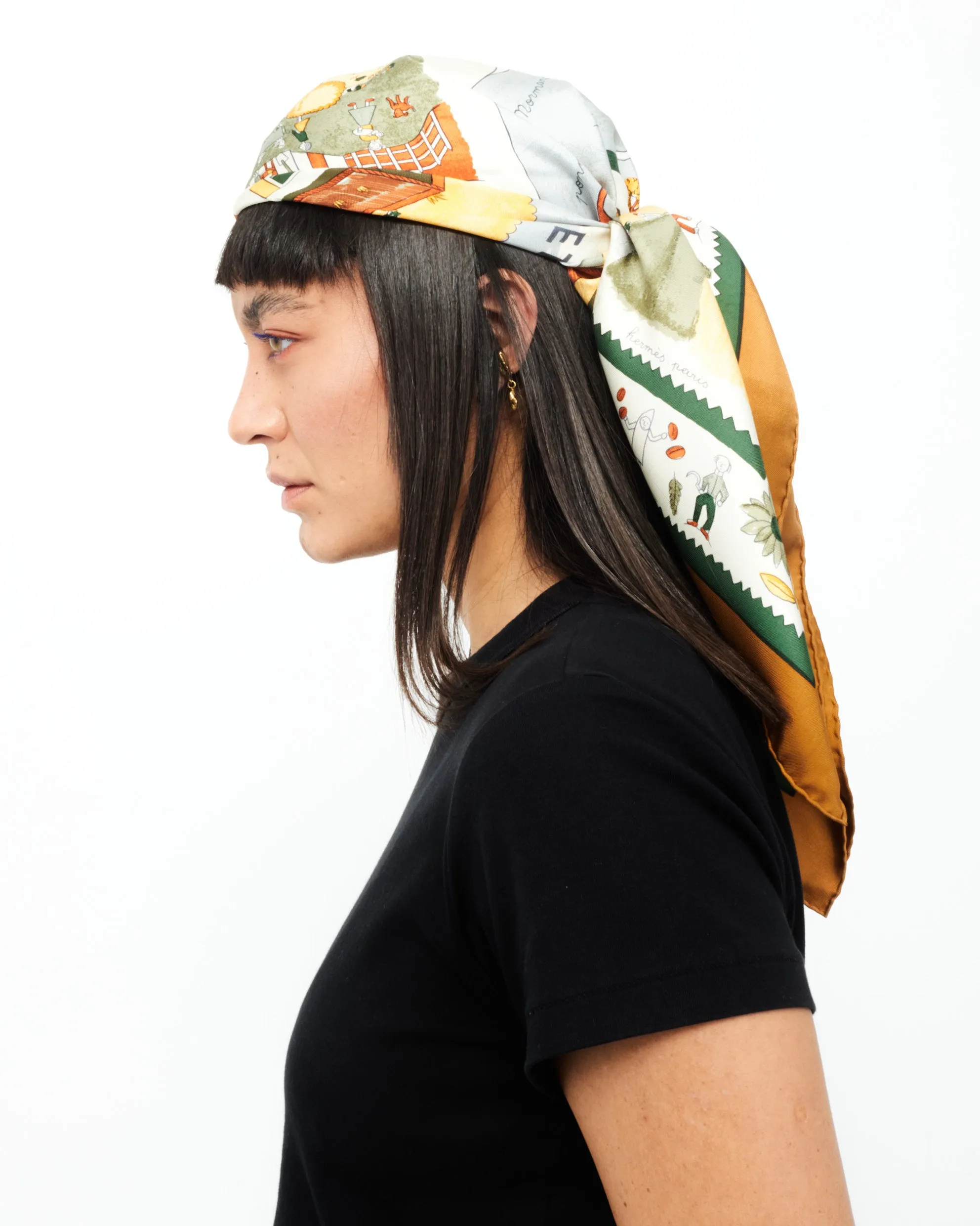Hermès Brown & Blue Multi "Retour A La Terre" Silk Scarf
