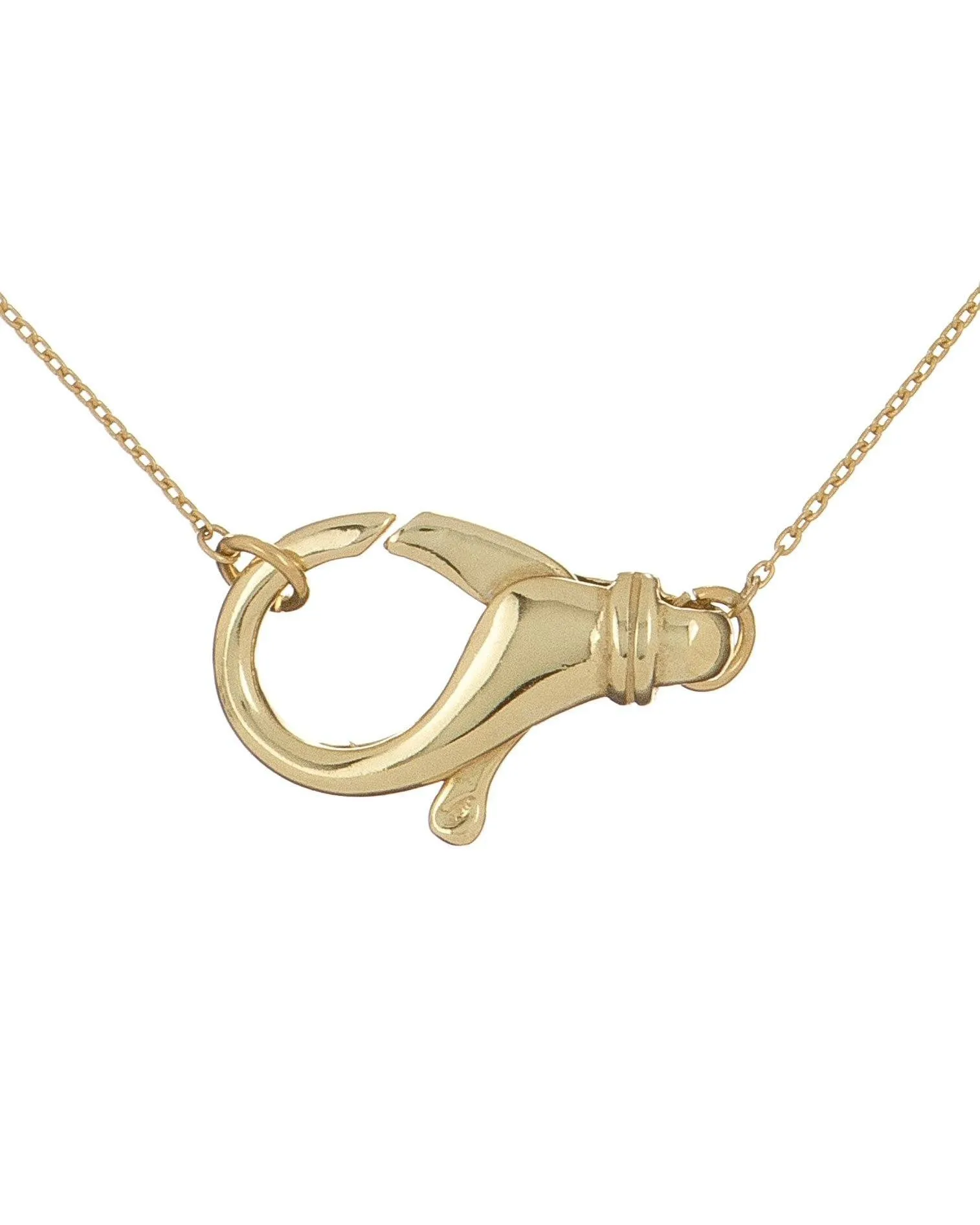Large Clasp Choker