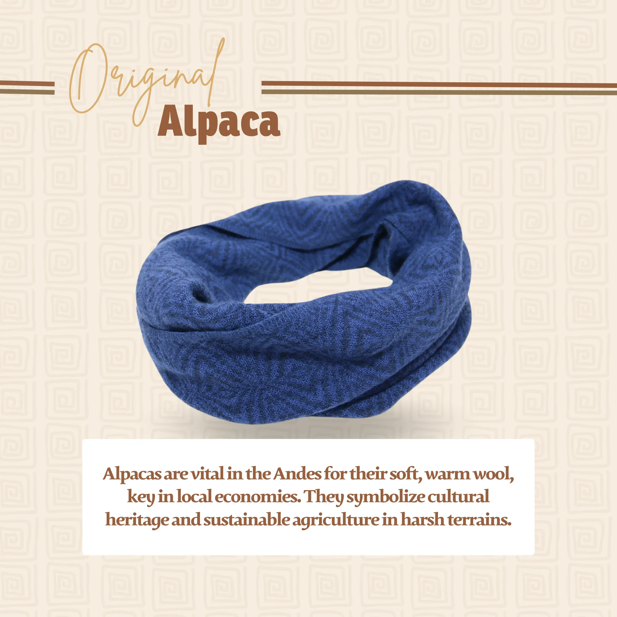 Ocean Blue Alpaca Infinity Scarf