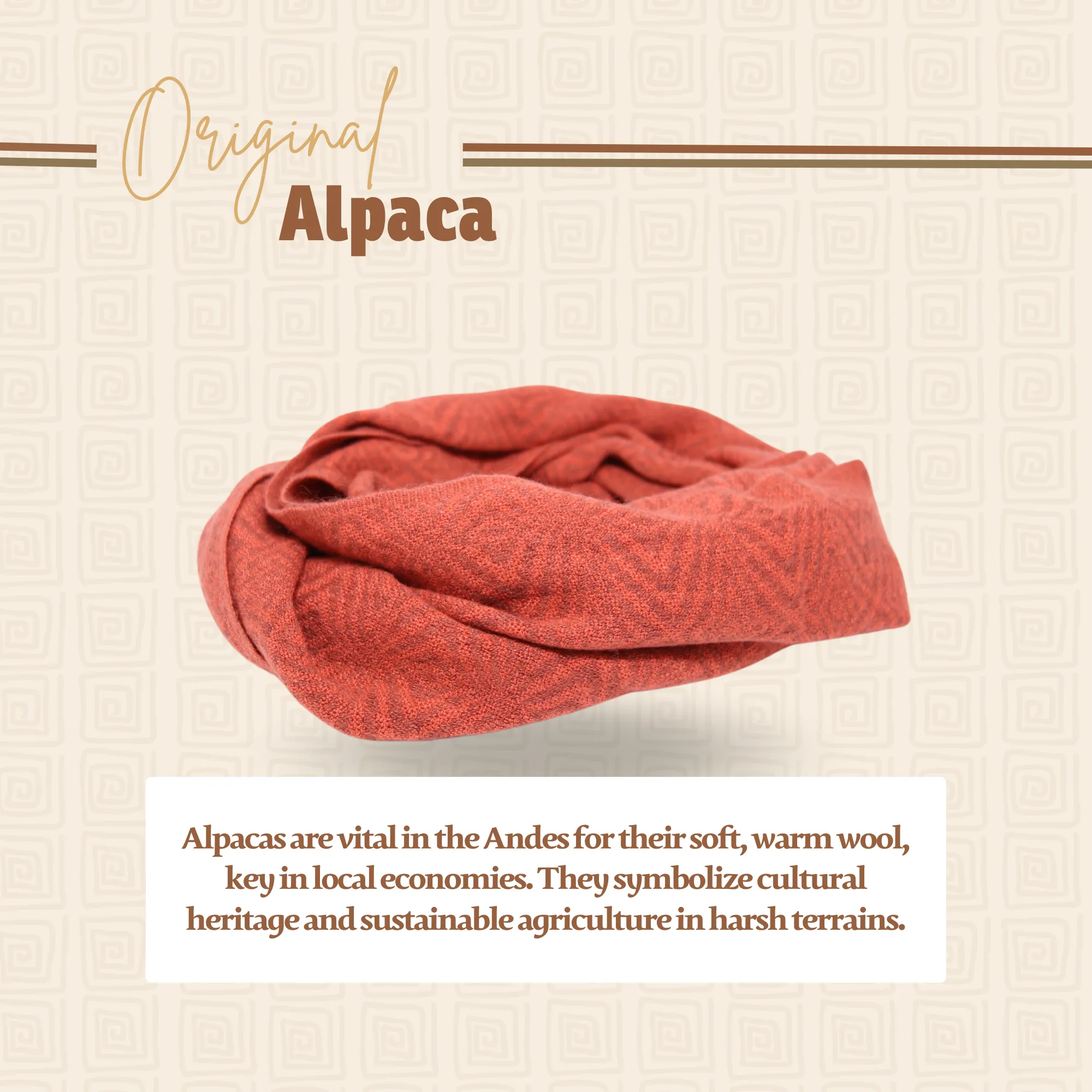Orange Alpaca Infinity Scarf