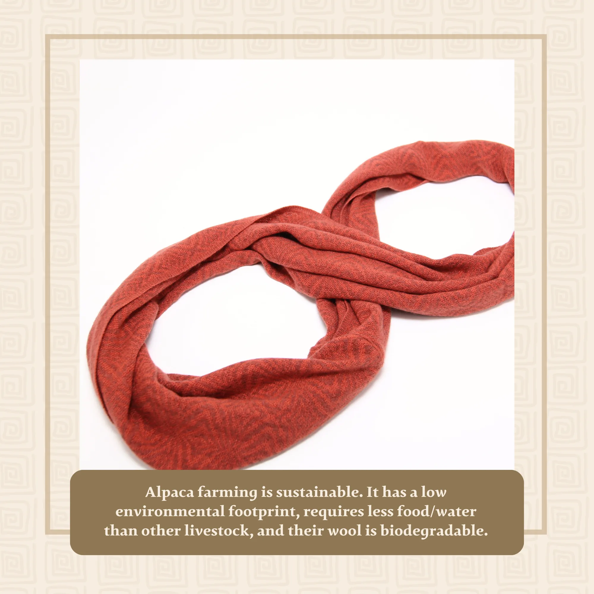 Orange Alpaca Infinity Scarf