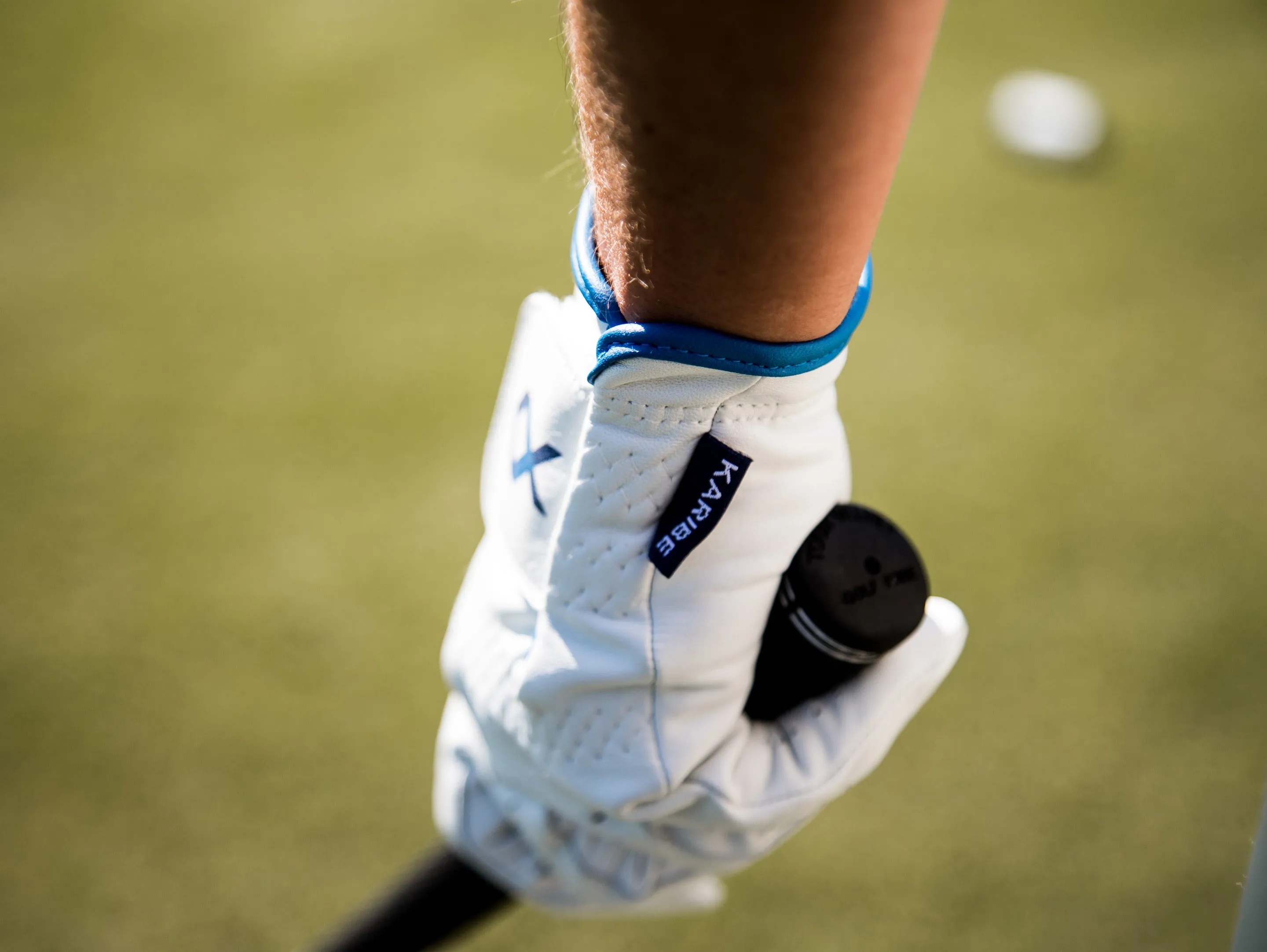 Palms Golf Glove Combo