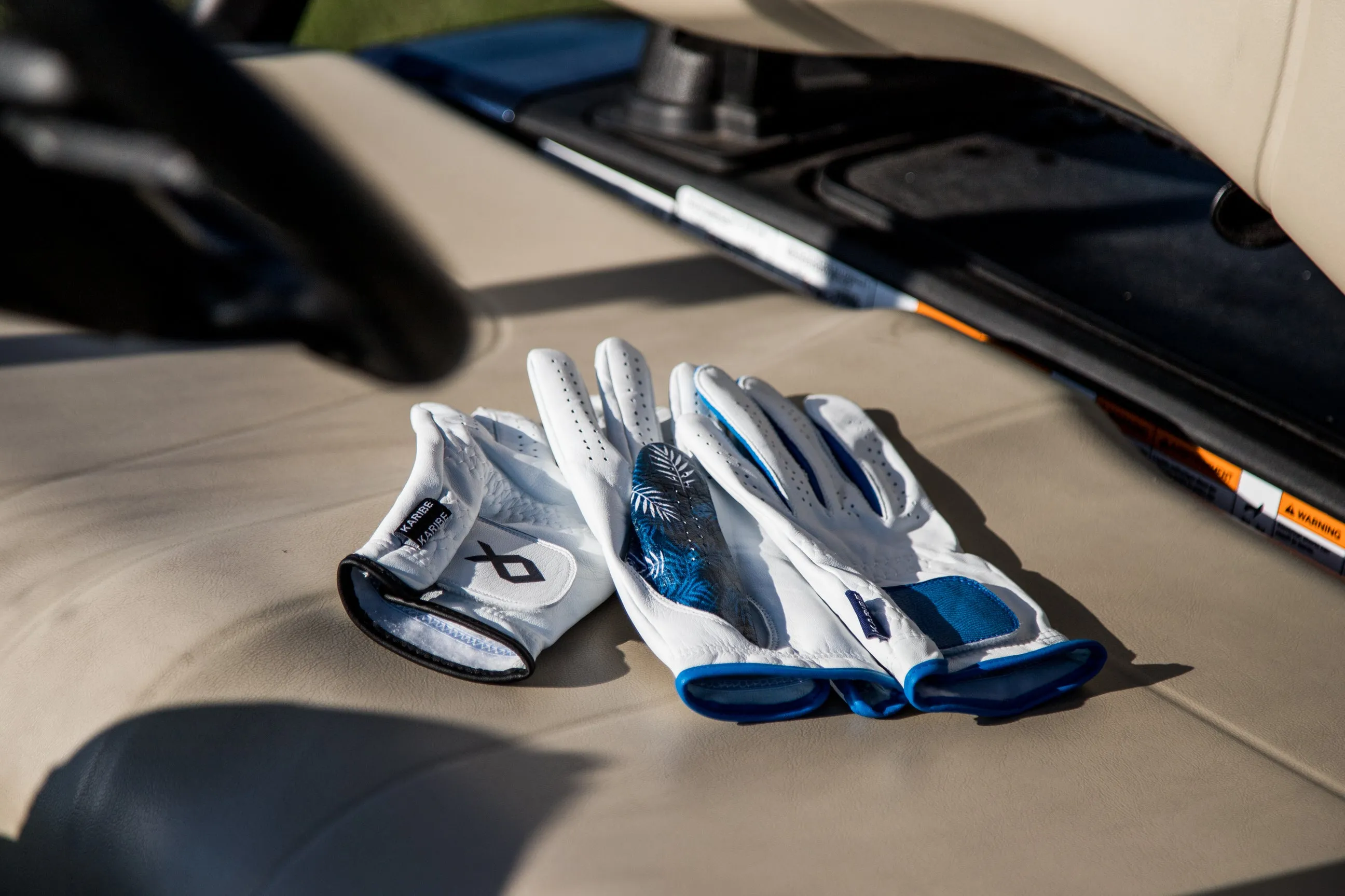 Palms Golf Glove Combo