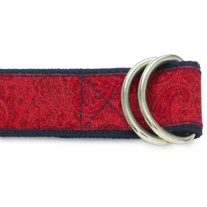 Pembroke Persimmon - D-Ring Belts