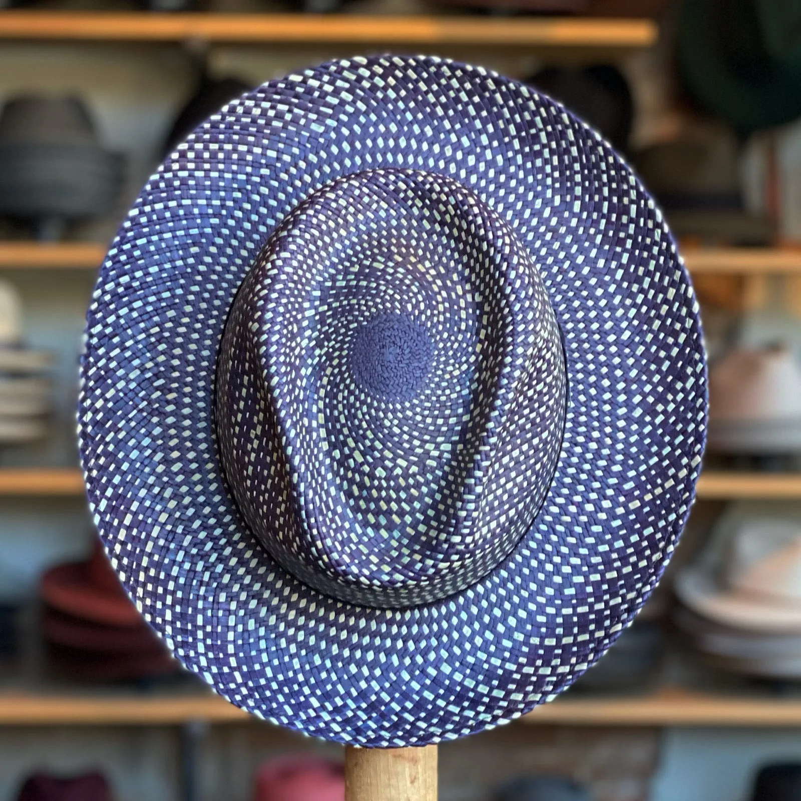 Phineas Panama Fedora