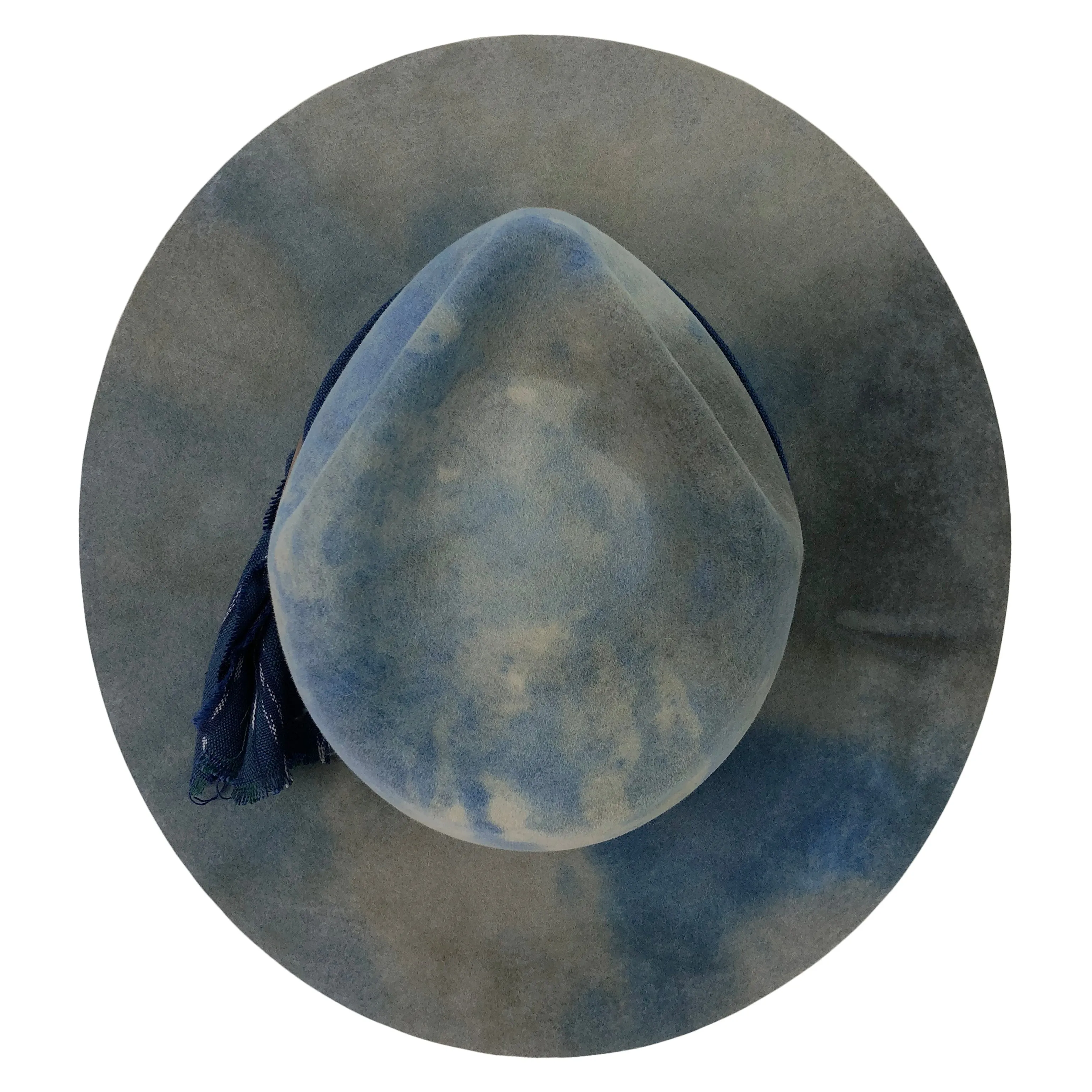 "parry’s agave"  7 1/2