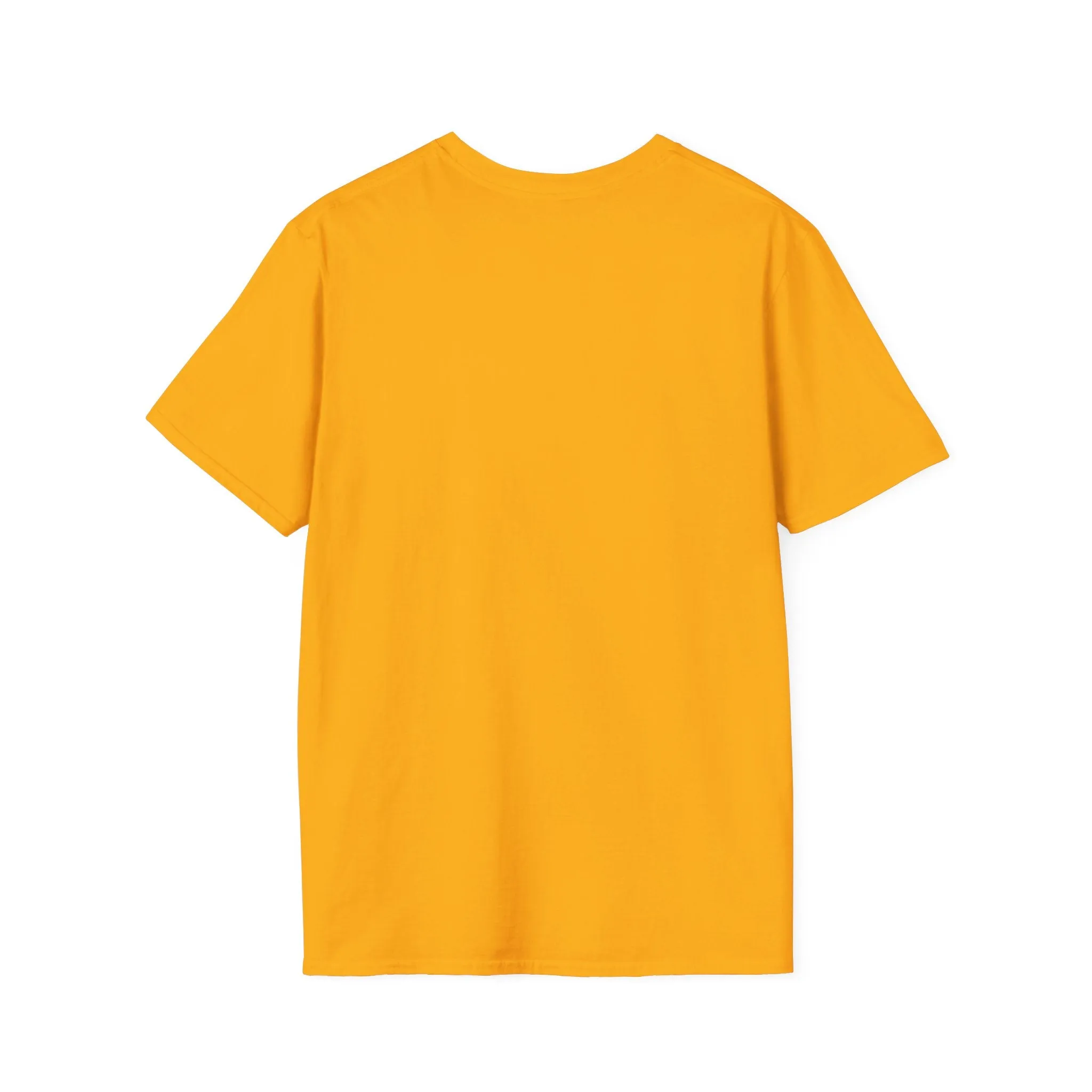 Ray's Music Exchange Chicago Unisex Softstyle T-Shirt
