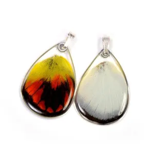 Real Butterfly Wing Pendant Only, Red Delias Butterfly, Bottom Wing