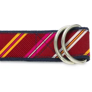San Pedro - D-Ring Belts