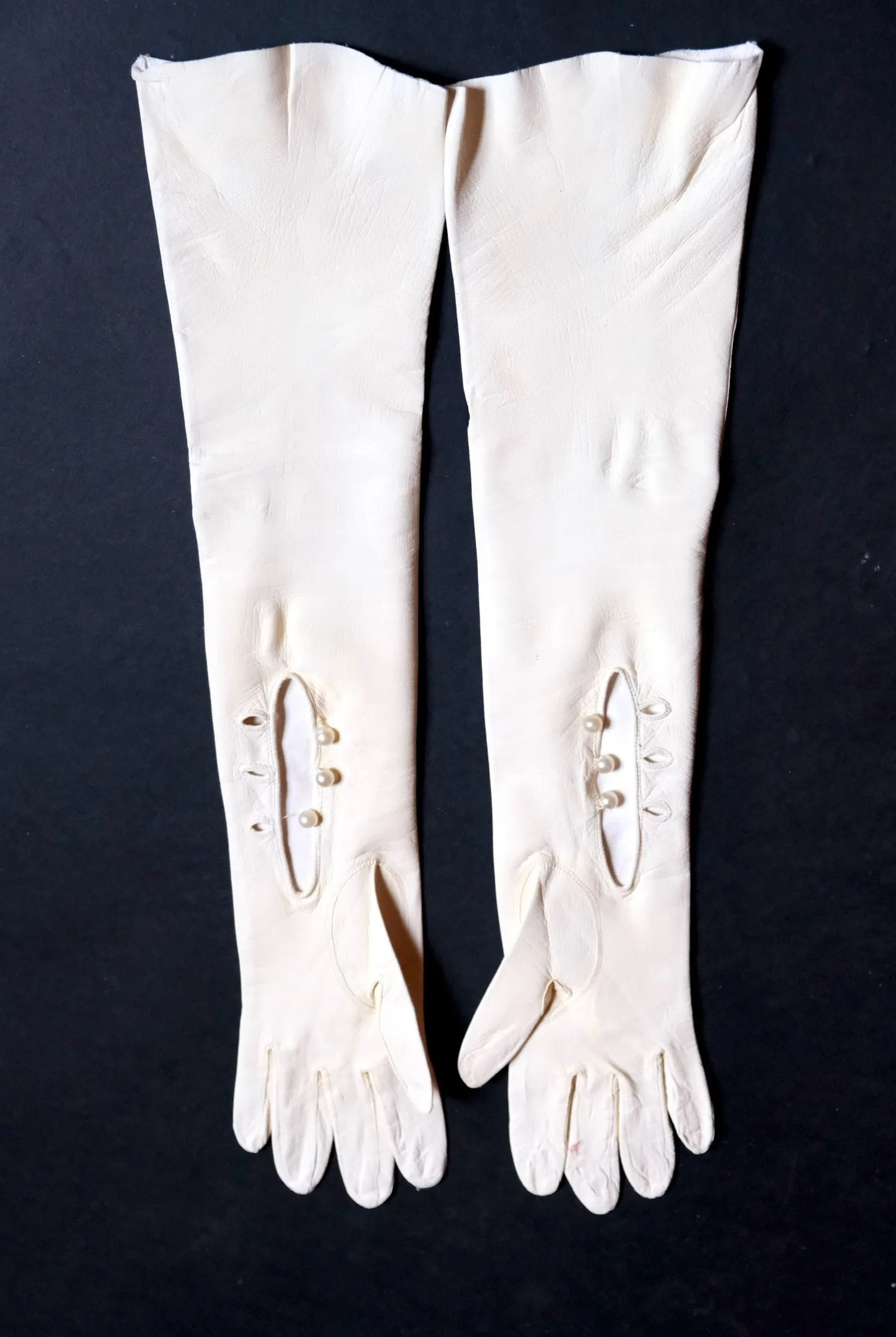 Serpent Silhouette Gloves