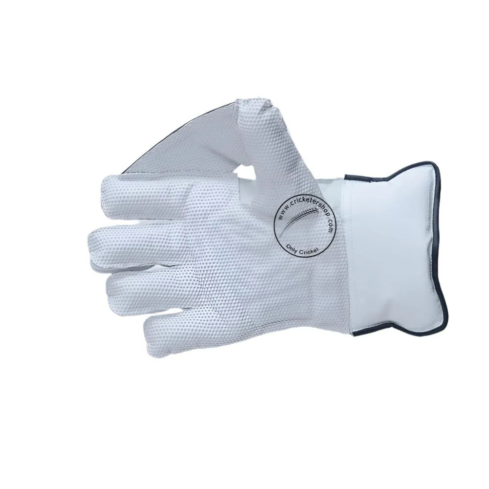 SG RSD Xtreme Cricket Wicket Keeping Gloves