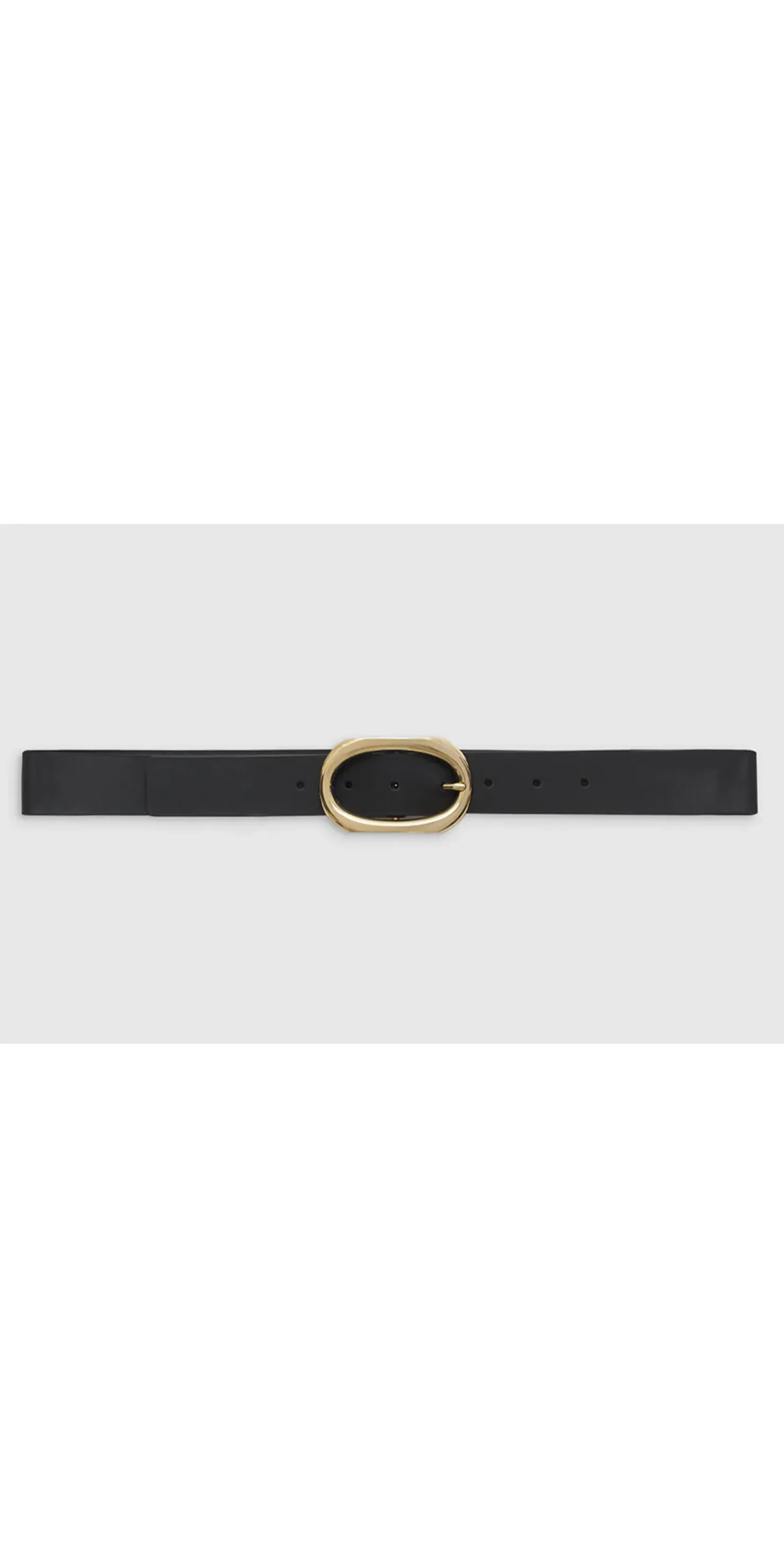 Signature Link Belt | Anine Bing