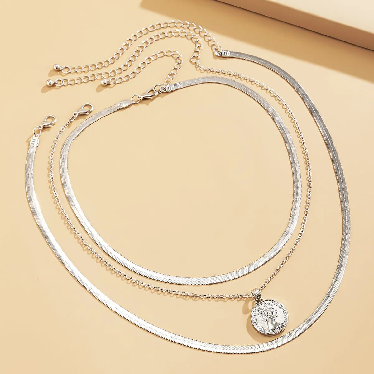 Silver-Plated Snake Chain Coin Pendant Necklace Set