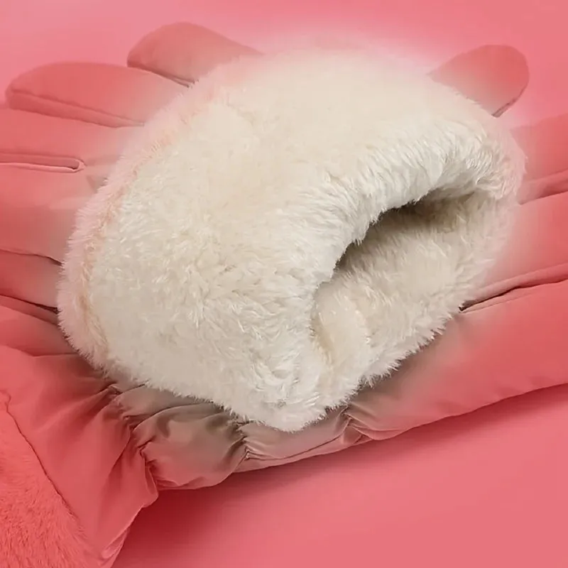 Ski Gloves