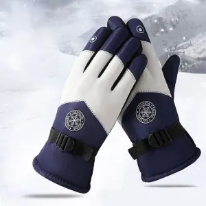 Ski Gloves