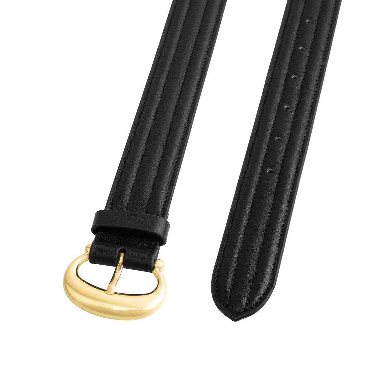 The Venus Belt