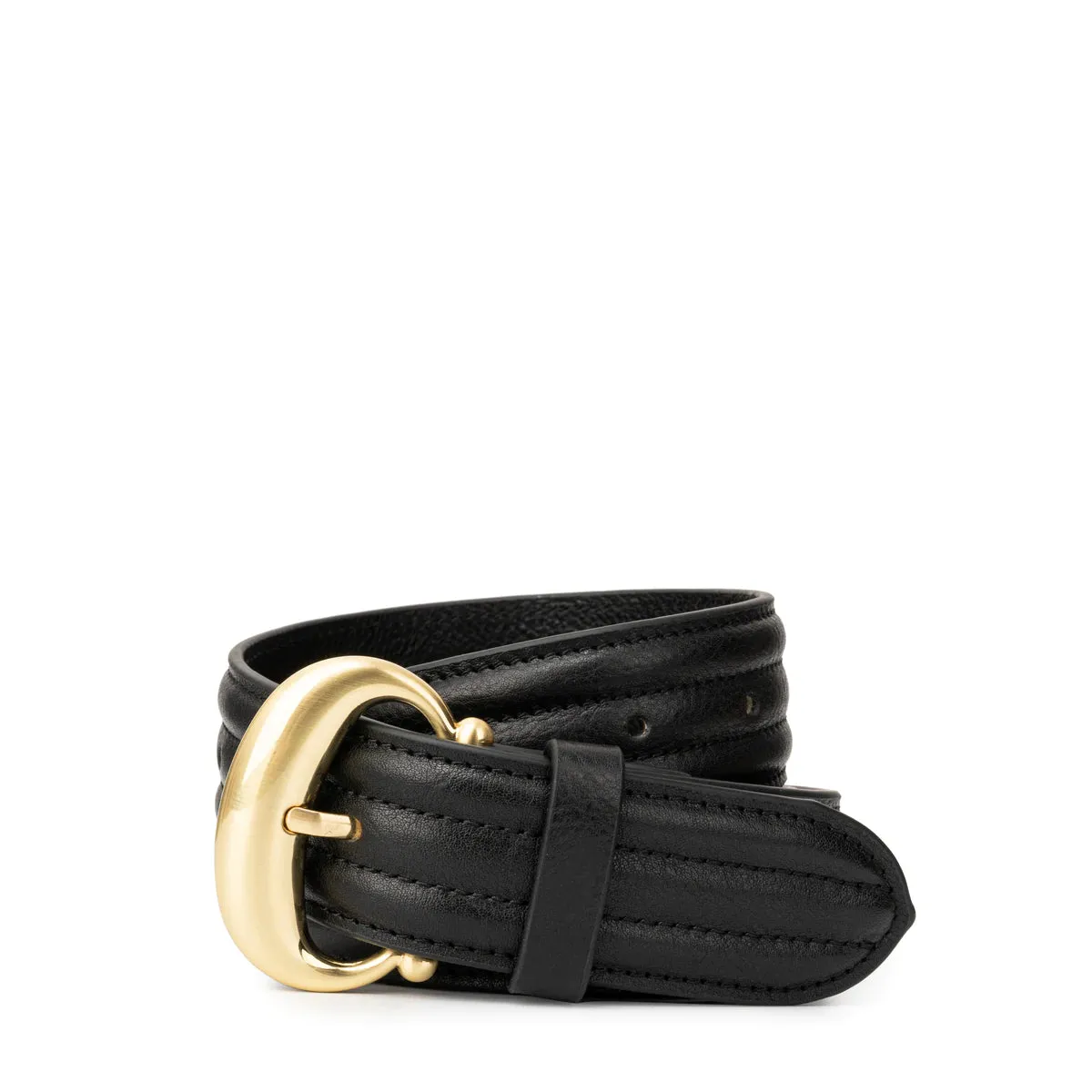 The Venus Belt