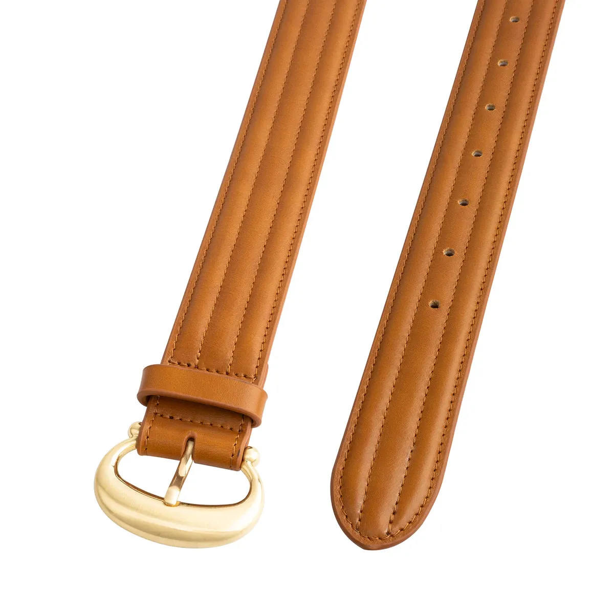 The Venus Belt