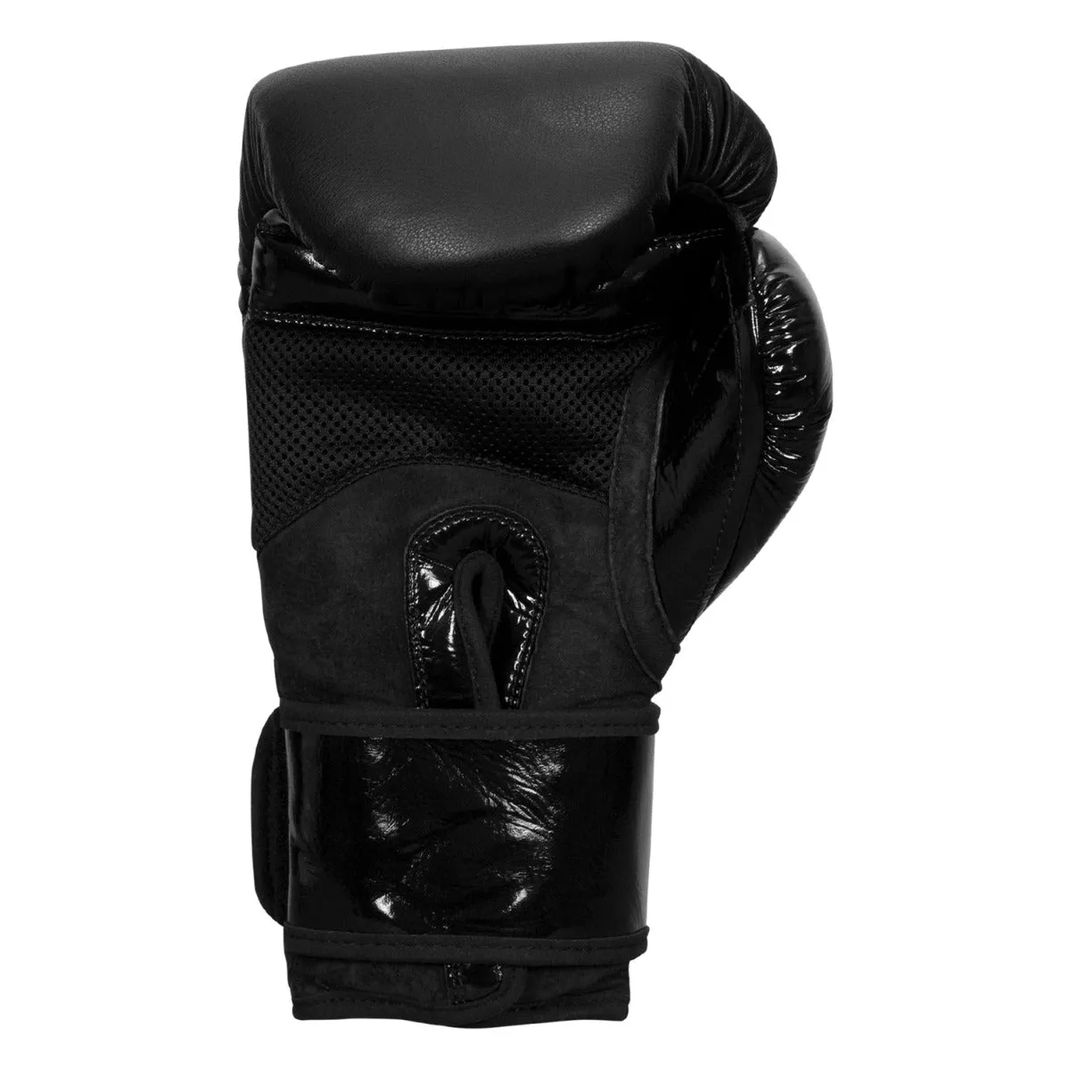 TITLE Black Blitz Sparring Boxing Gloves