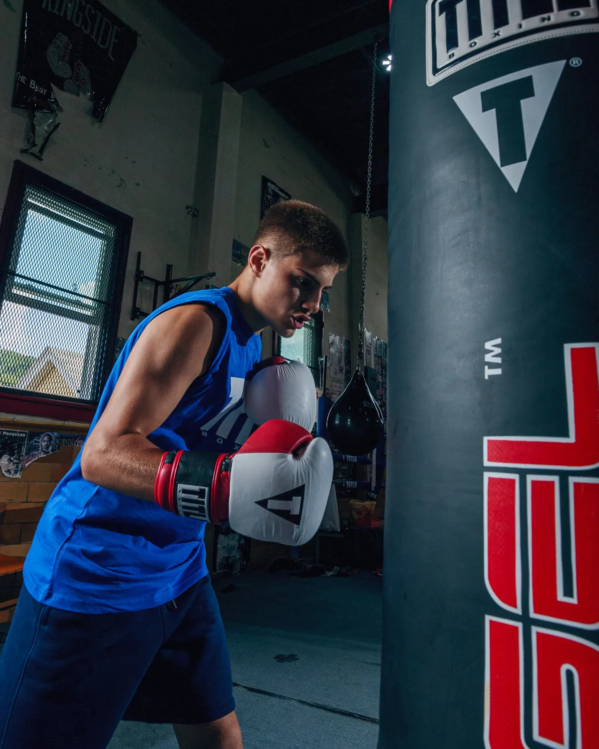 TITLE Boxing Gel Professional Series Training Boxing Gloves