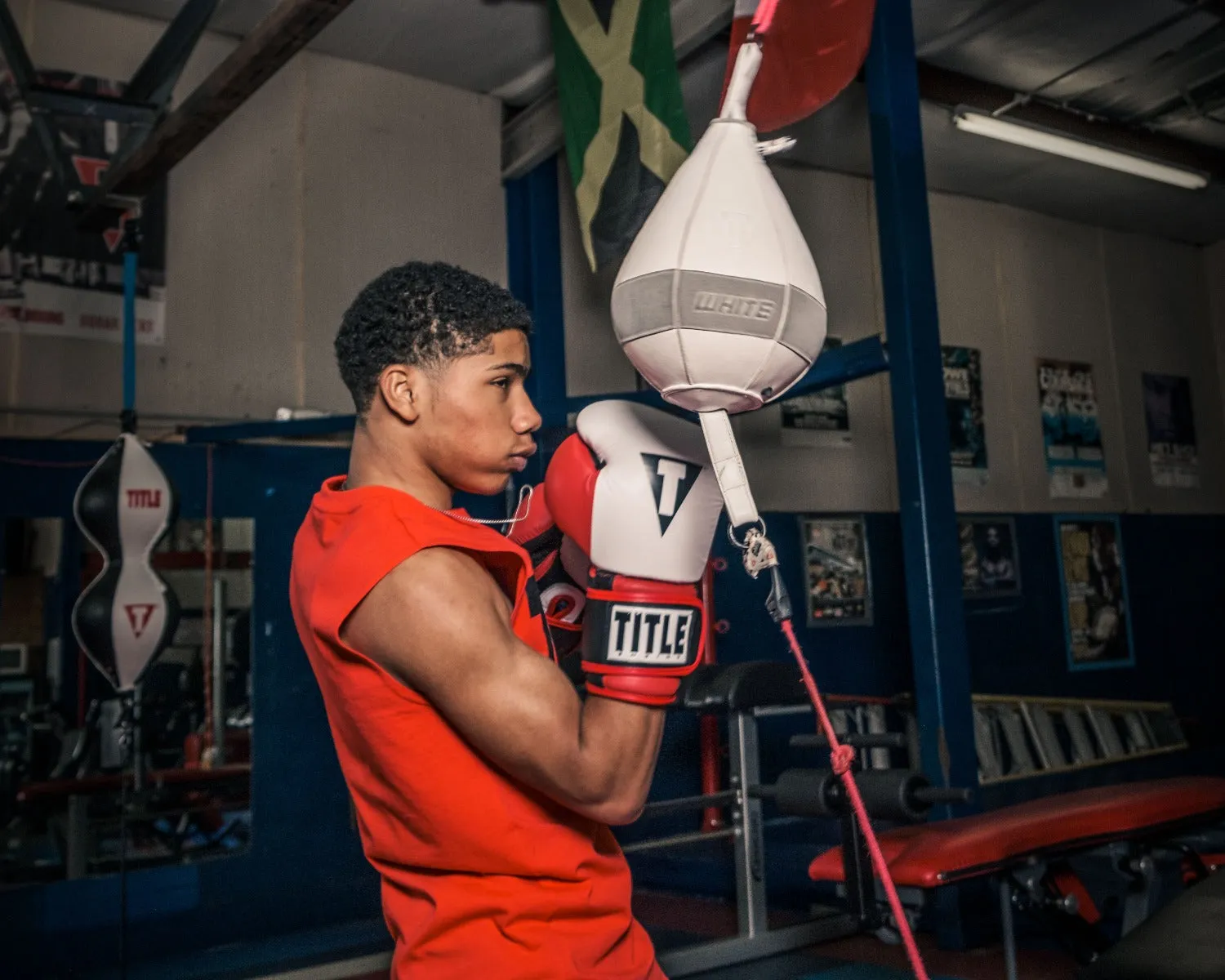 TITLE Boxing Gel Professional Series Training Boxing Gloves
