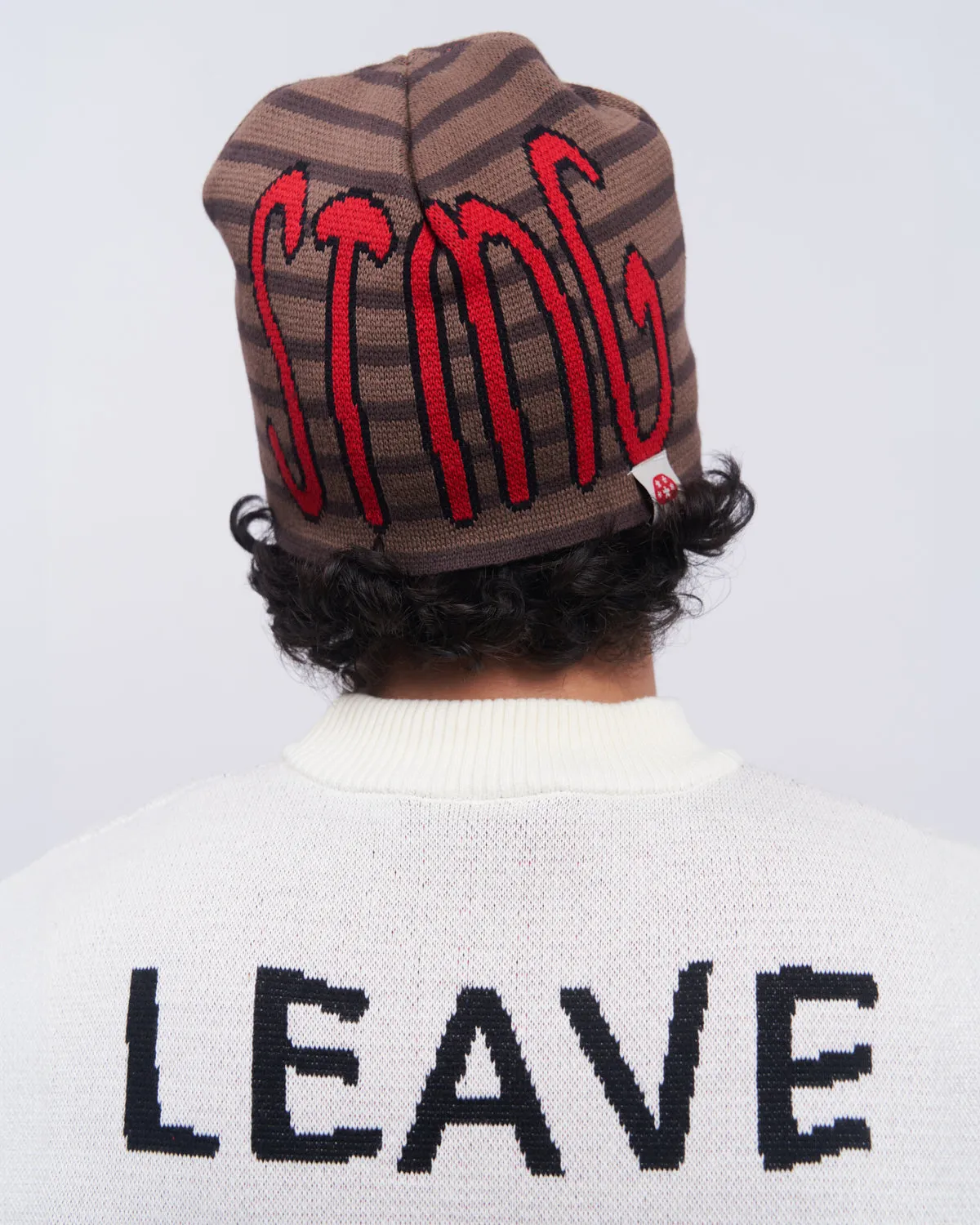 V Speshal Organic Strawberry Beanie Brown Stripes