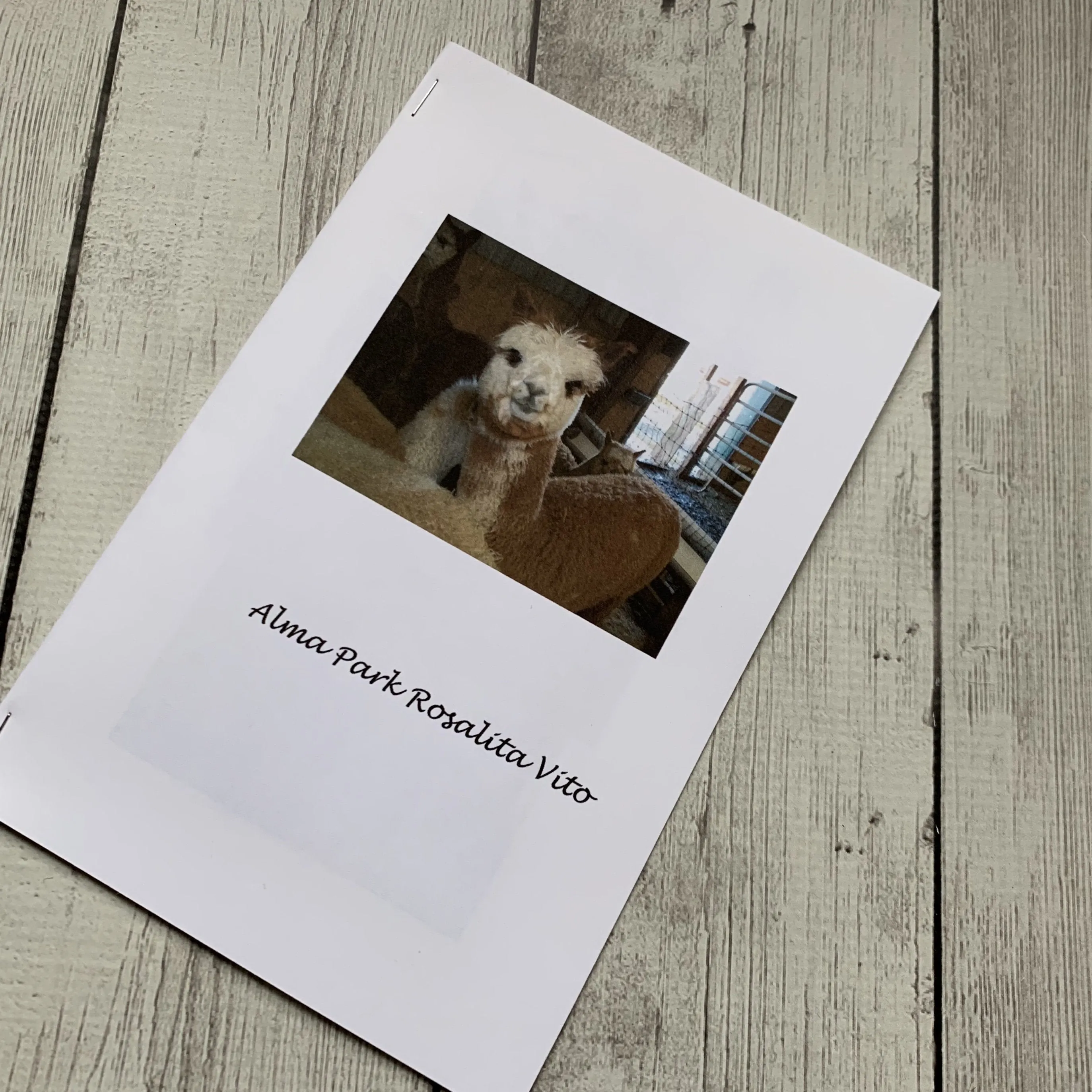 Virtual Adoption - Adopt-a-paca™ - SNOWBALL (Superfine Fiber)  - white