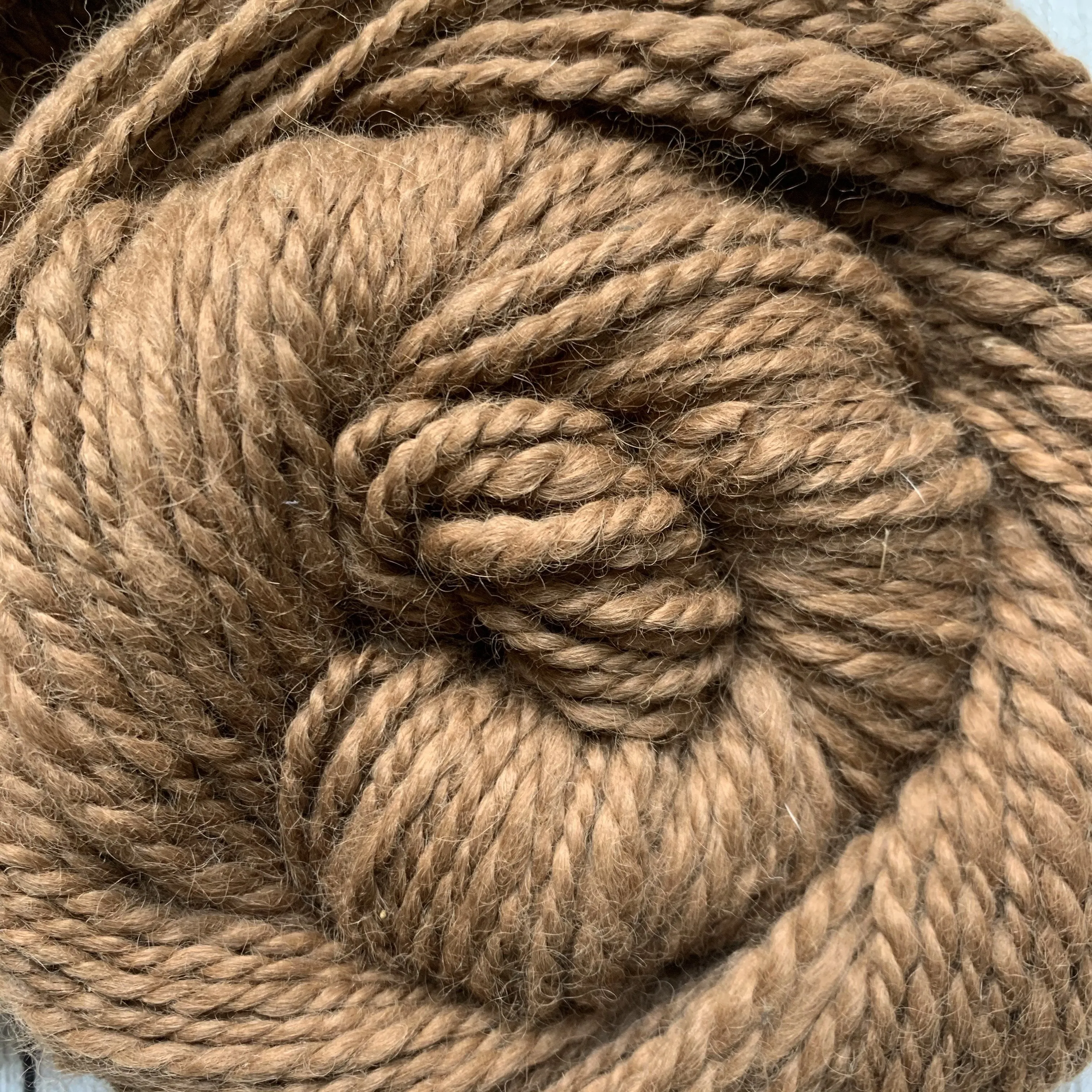 Virtual Adoption - Adopt-a-paca™ - SNOWBALL (Superfine Fiber)  - white
