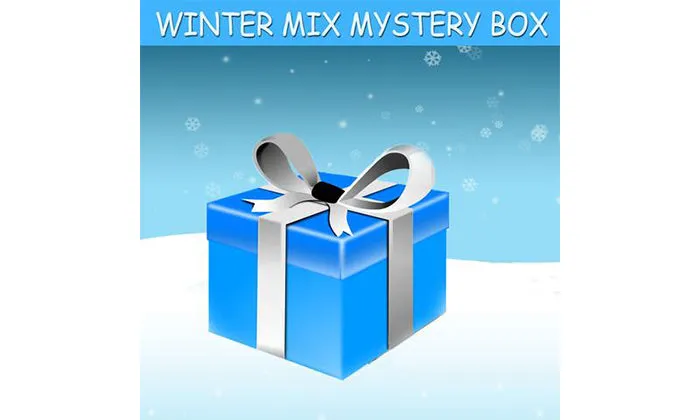 WINTER MYSTERY BOX