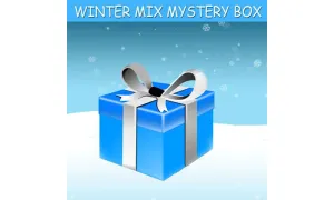 WINTER MYSTERY BOX