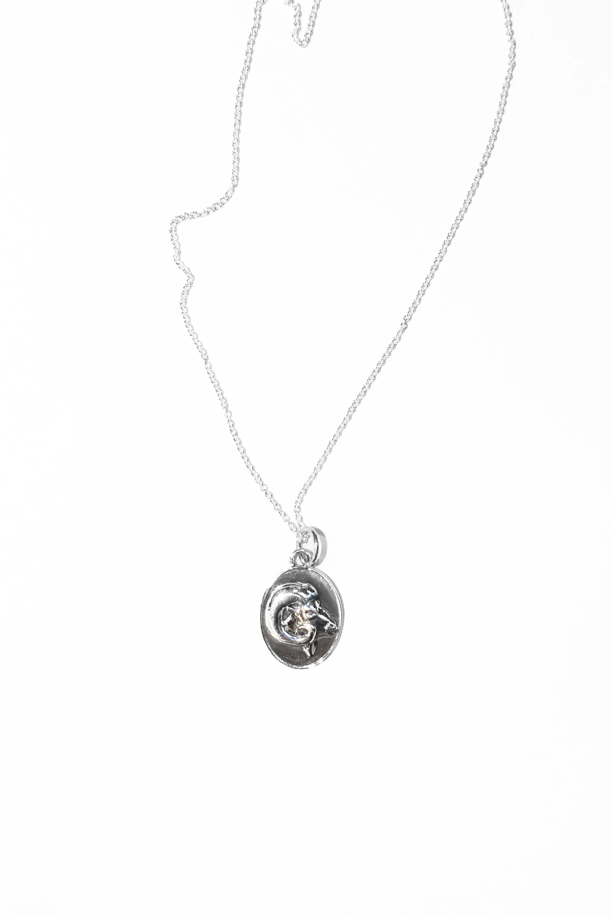 Zodiac Pendant Necklace in Sterling Silver